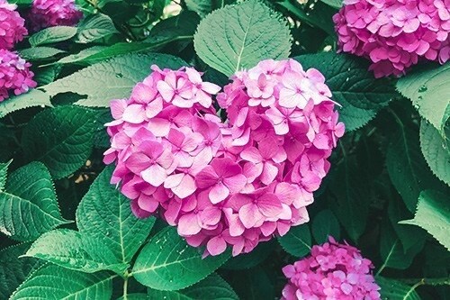 今話したい！聞いて欲しい！お話相手になります なんとなく満たされない、そんな心に寄り添います(*´꒳`*) イメージ8