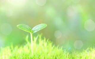子どものお悩みお聞きします 元幼稚園、保育園、小学校勤務経験者がサポート！ イメージ1
