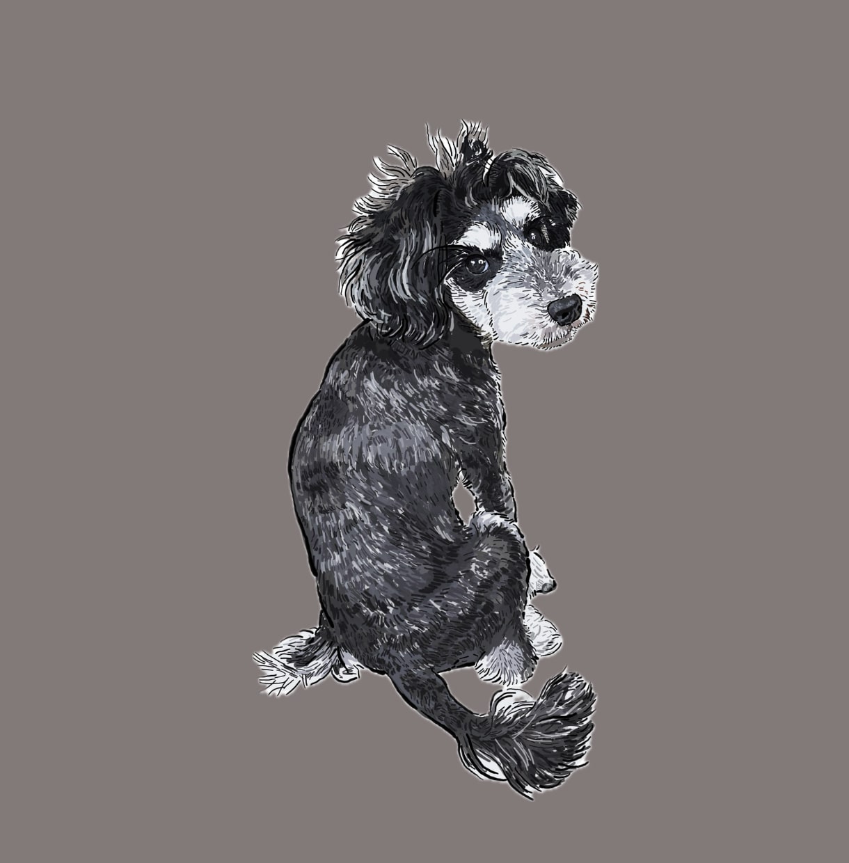 ミニチュアシュナウザーの似顔絵を描きます ミニシュナと暮らす犬絵師が、写真から似顔絵を描きます イメージ3