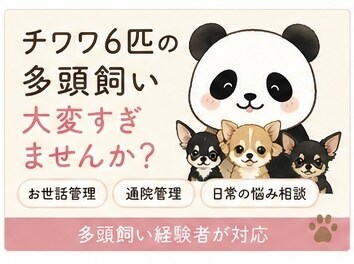 わんこ多頭飼いさんの日常管理やお悩みお聞きします たくさんのわんこは可愛い！でも大変！を少しだけ楽にします笑 イメージ1