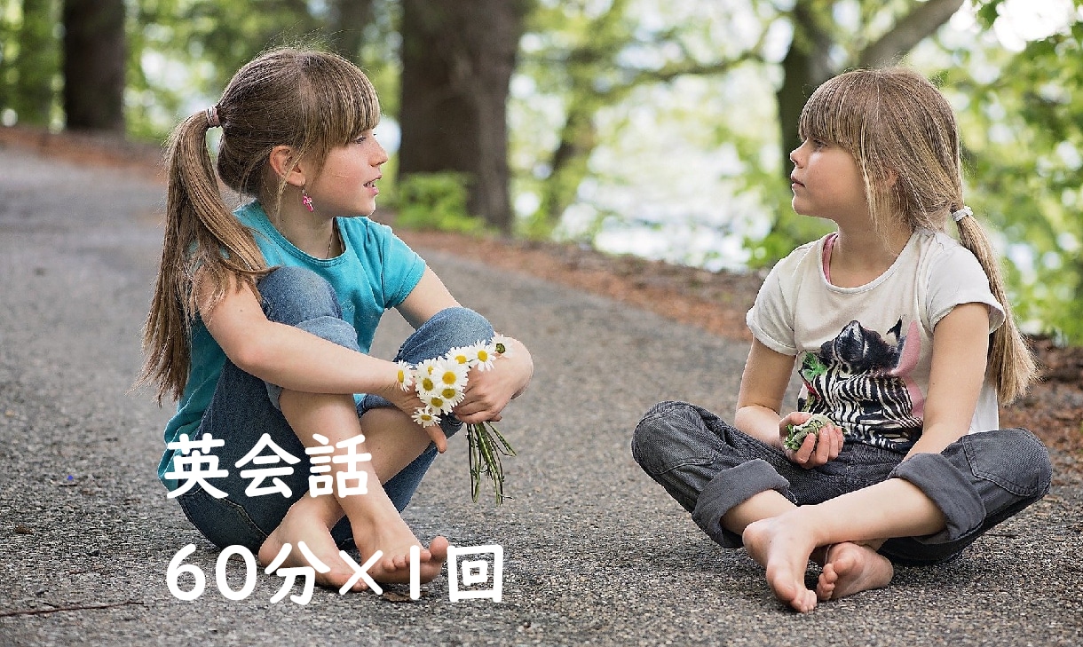 北欧発★安心して英会話の練習できます 【使える英語】北欧から、あなたの話したい、お手伝いします！ イメージ1