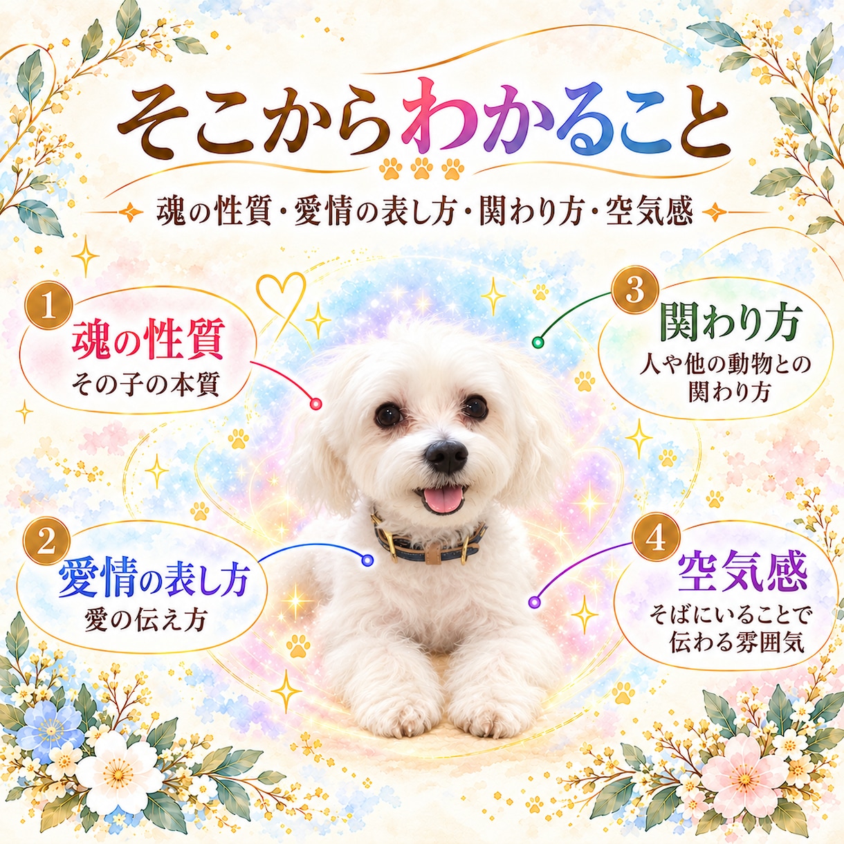 ペットさんの魂の色と特性を読み解きます 〜この子は、どんな魂？色と質感から見ていきます〜 イメージ3