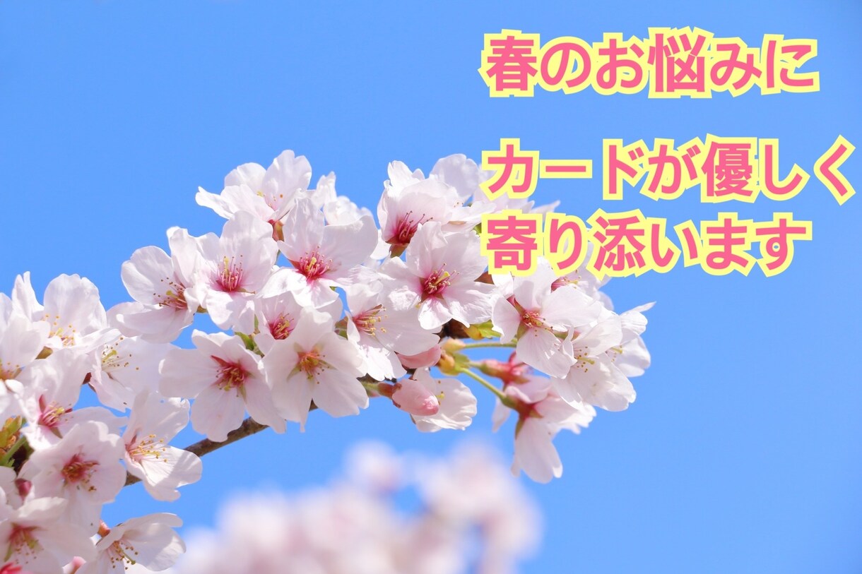 春のお悩みにカードが寄り添います 新しい環境に戸惑ったり立ち止まったりする気持ちをスッキリに！ イメージ1