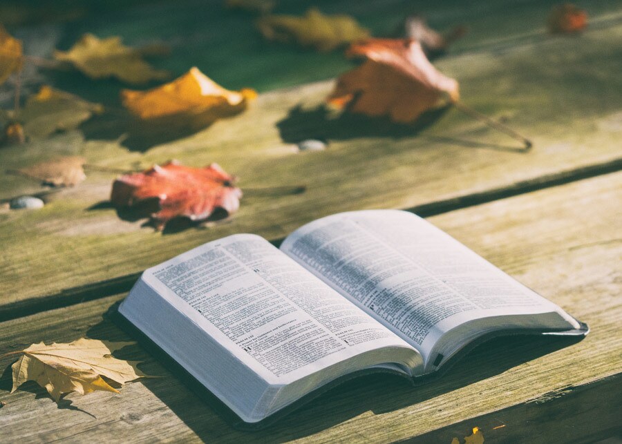 読書代行いたします 読みたいけど読めていない本、代わりに読みます！ イメージ1