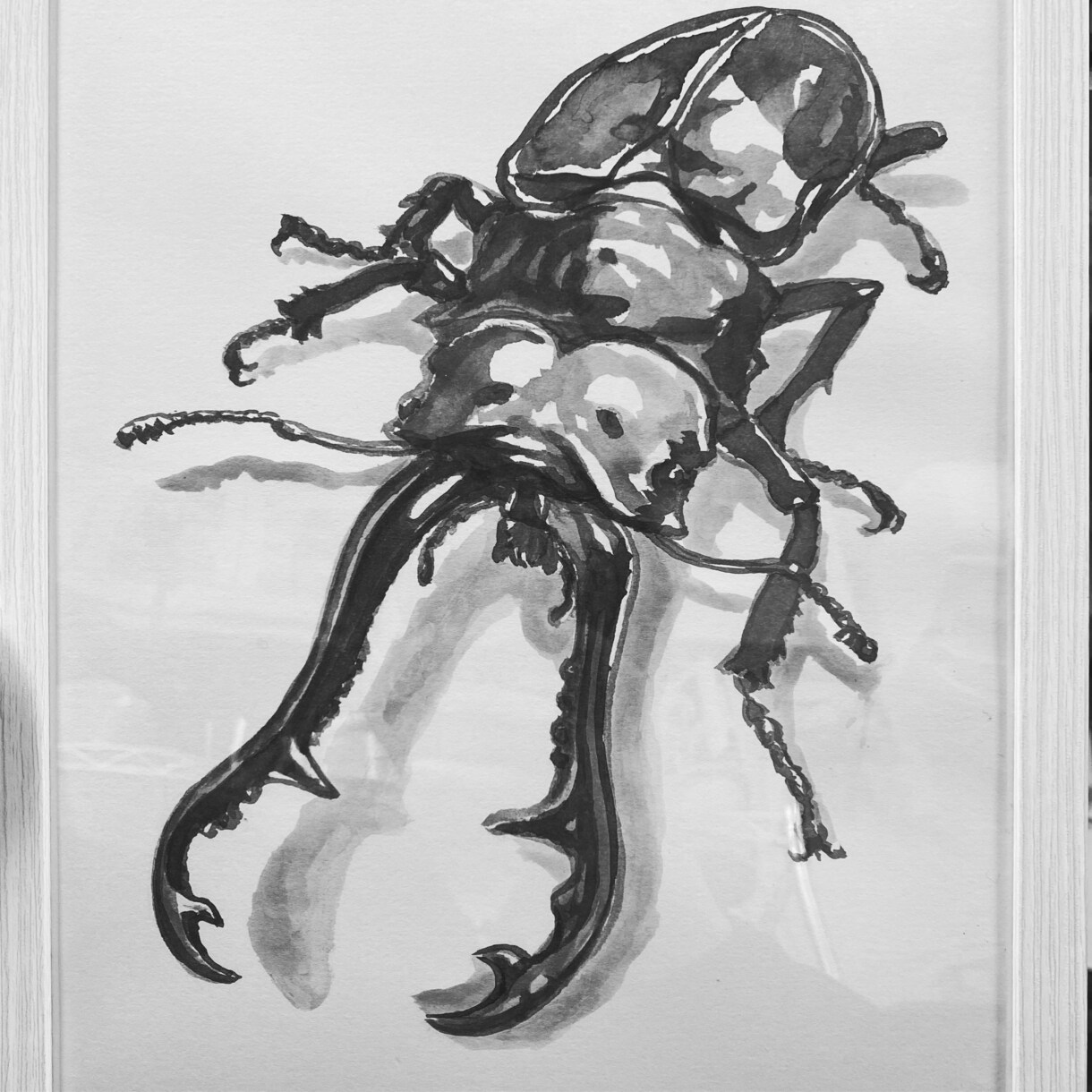 昆虫/奇蟲/魚類/動植物のイラスト制作できます ちょっと変わった生き物が好きで、供給が少なくて悩んでいる方へ イメージ4