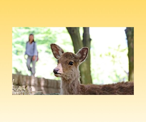 楽しく話そう✨️優しい関西弁で会話練習します 日常会話/話し方レッスン/苦手意識克服/話し上手/聞き上手 イメージ8