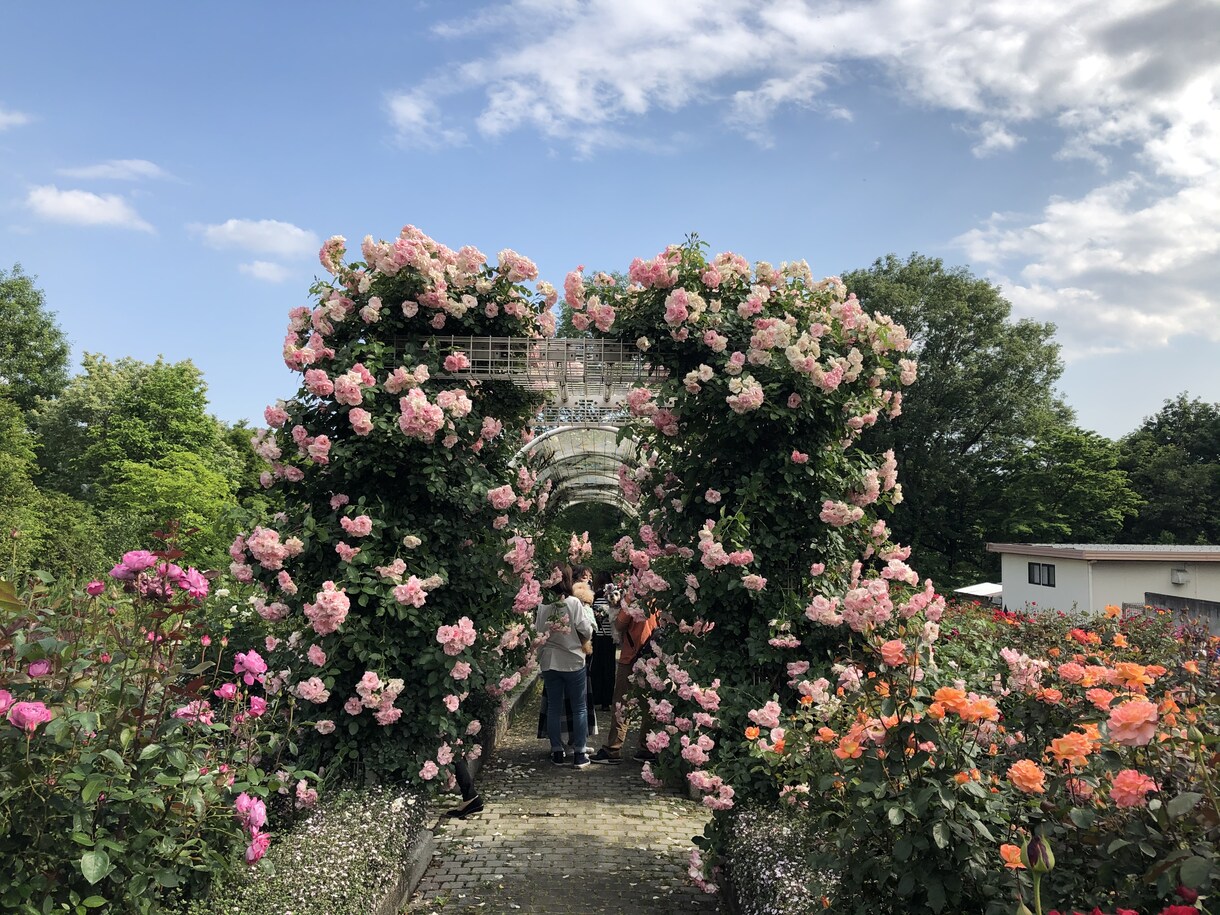 ペライチカスタマイズをいたします ご要望に沿って、ペライチをカスタマイズいたします。 イメージ1