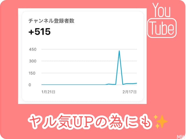 リアルな視聴者に向けてYouTube拡散します 限定5名様価格!YouTubeチャンネル収益化も可能! イメージ4