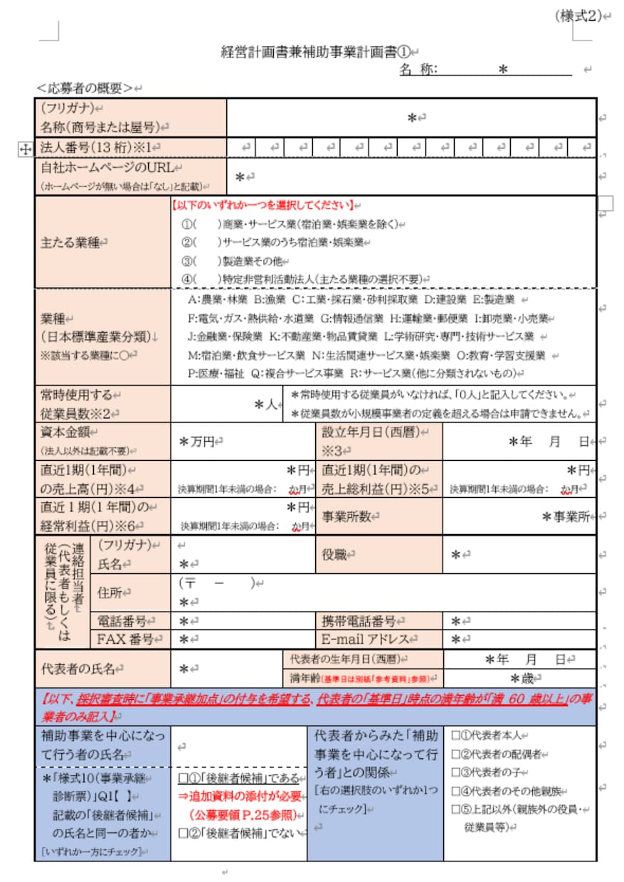 小規模事業者持続化補助金の計画書を添削支援します 審査の”ツボ”をおさえた事業計画書の作成支援！ イメージ2