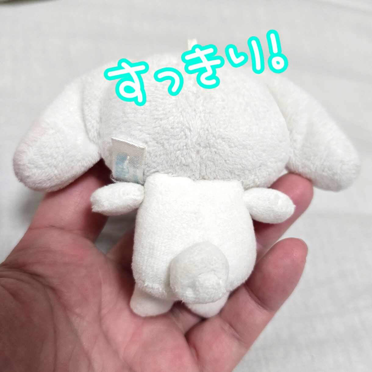 ぬいぐるみ手洗いします 手あか汚れなどをすっきりピカピカに！ イメージ5