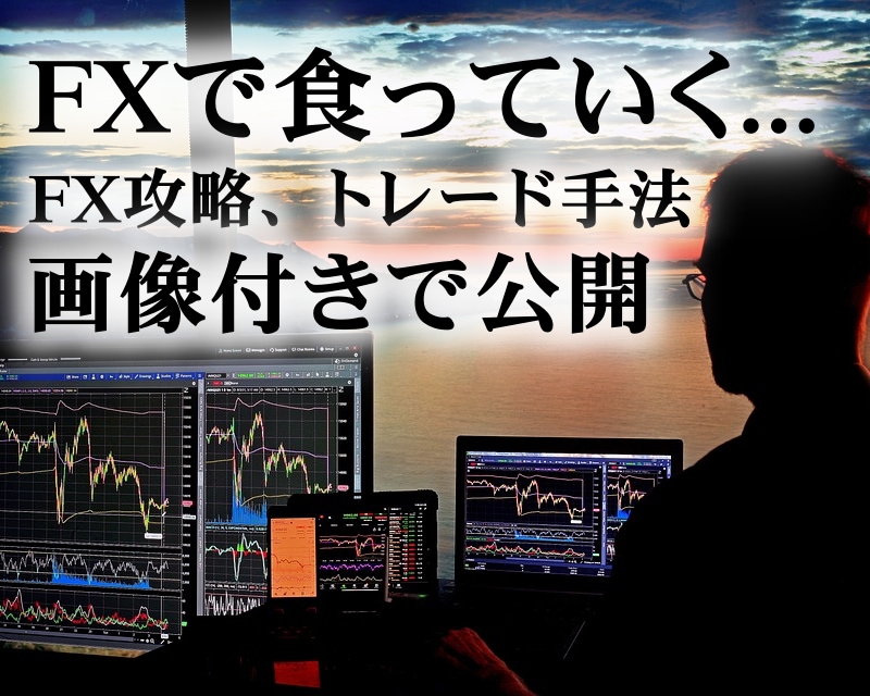 勝つためのFXトレード手法、画像付きで解説します 専業FX希望者向け。FXトレード手法を画像付きで公開します。 イメージ1