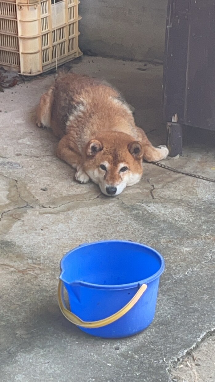 カテゴリ問いません。お話し聞きます 感覚より理屈！って方と相性良いと思います。言語化が得意です。 イメージ1