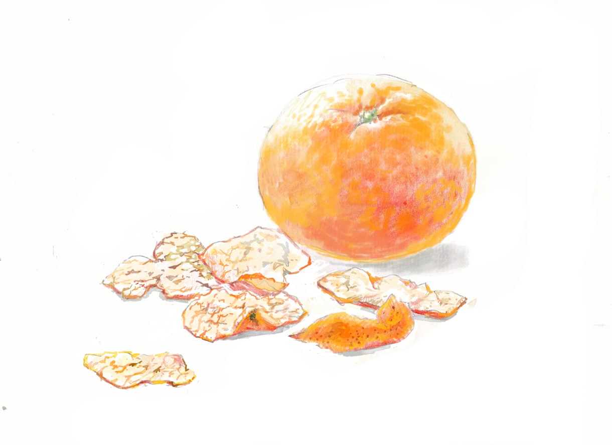 メニューなどに！美味しそうな果物食べ物描きます シズル感ならお任せ。確かなデッサン力で描く目を惹くイラスト イメージ3