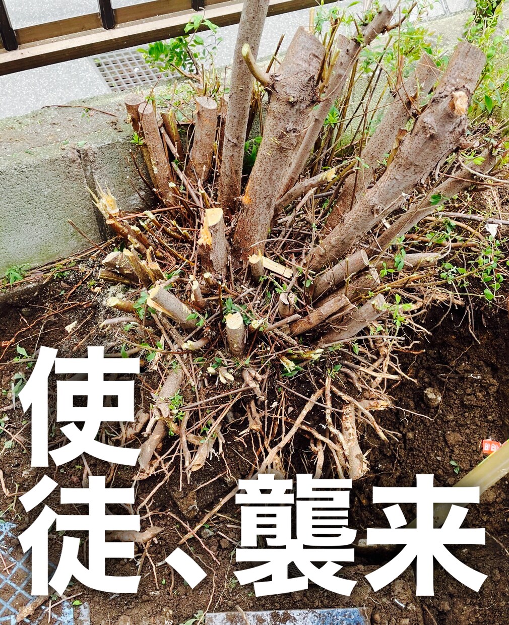 築40年でも融資を引いた方法　お伝えします 千葉県鎌ケ谷市、埼玉県久喜市に物件を保有中 イメージ9