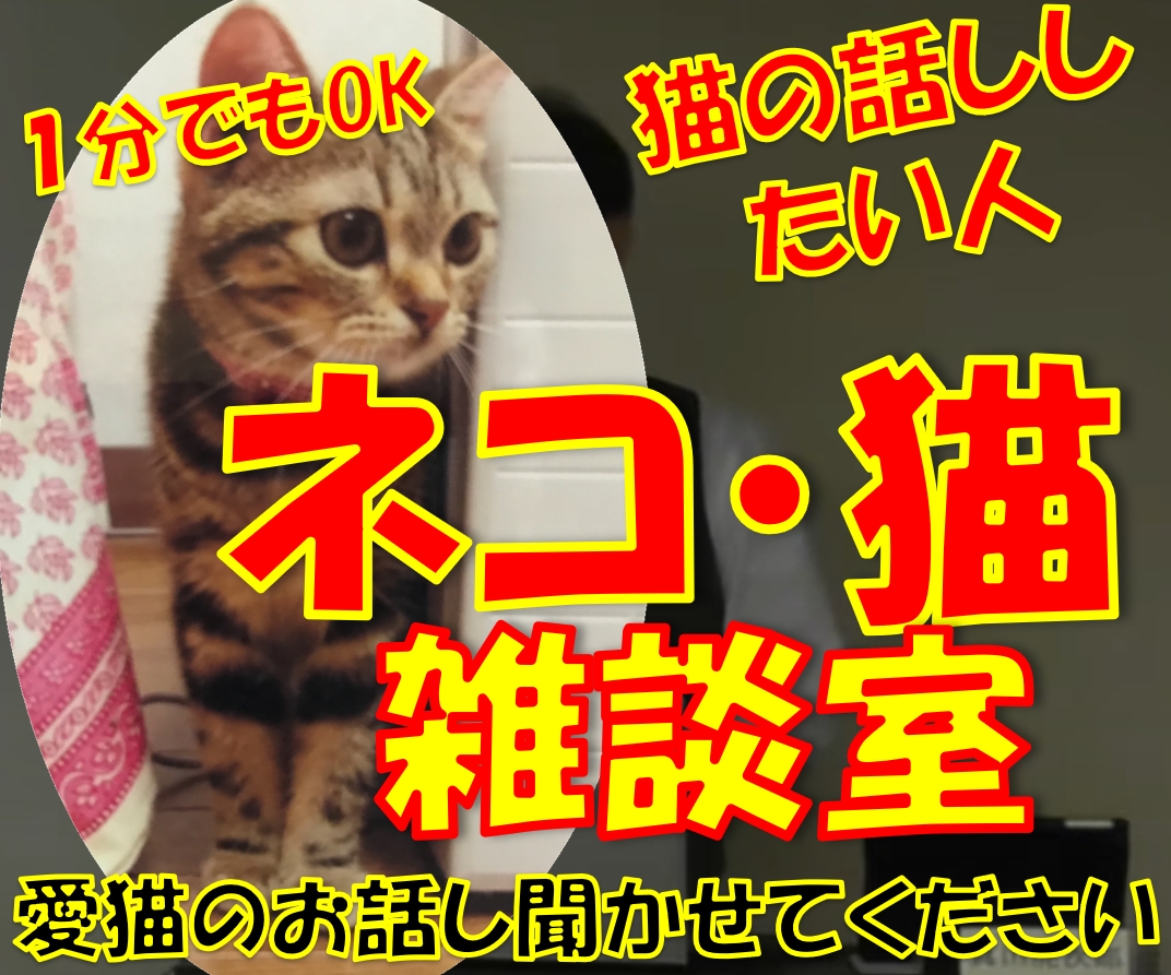 ネコのお話ししませんか？猫トークで盛り上げます 愛ネコYouTuber！猫たちの成長記録や難病克服日記配信 イメージ1