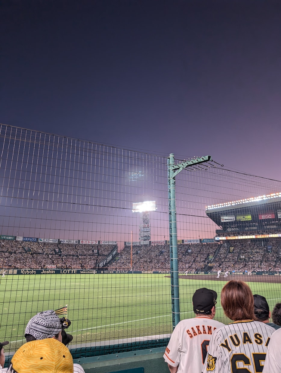 野球場で撮影した写真を販売します 趣味で撮った写真(甲子園やエスコンでの)を提供します イメージ4