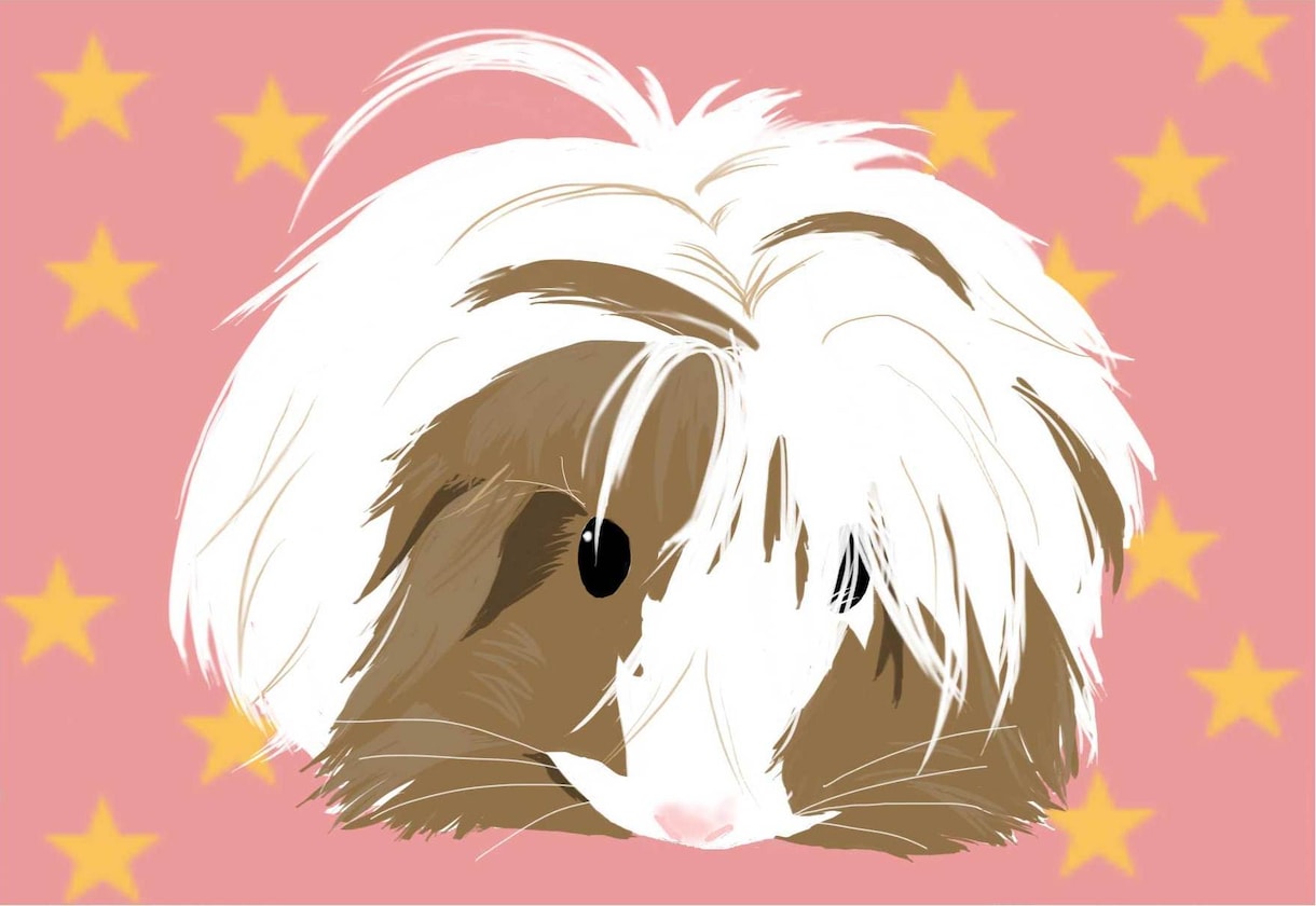 ペットや動物の写真を元にイラストを描きます ★ちょっとマイナーな動物好きな人も是非ご利用ください★ イメージ4
