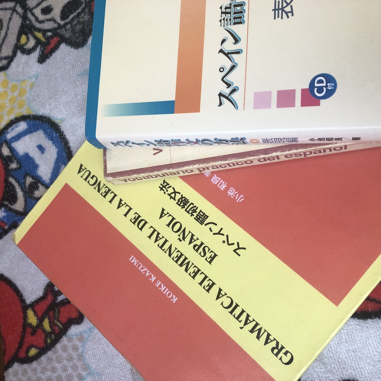 初心者向けスペイン語レッスンいたします 初めてスペイン語に興味を持った方にオススメʕ๑˃̵ﻌ˂̵ʔ イメージ1