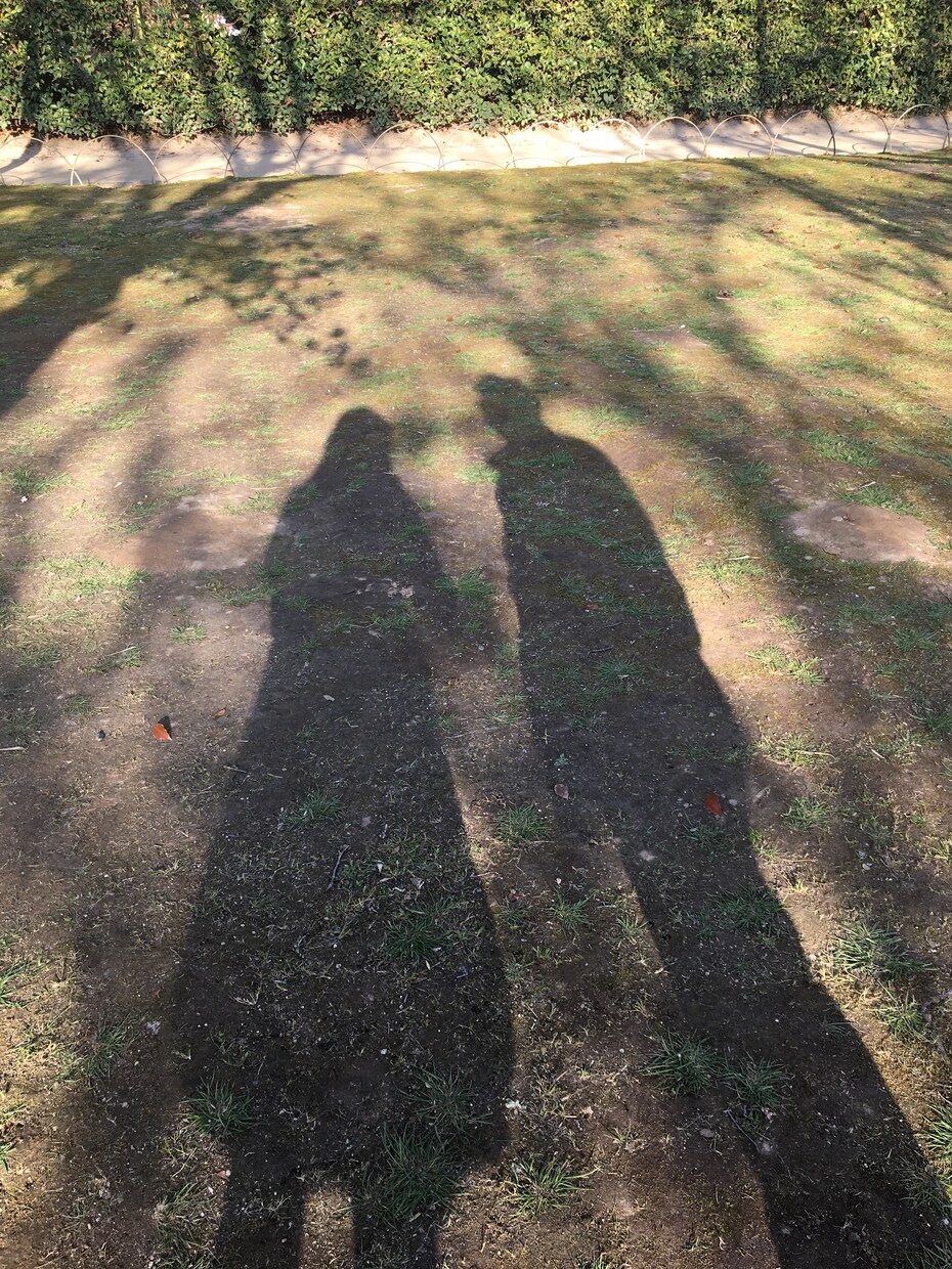 ご相談にあなたの生年月日を伺い対応致します 看護師歴30年！個性に合わせたアドバイス&トレーニング イメージ1