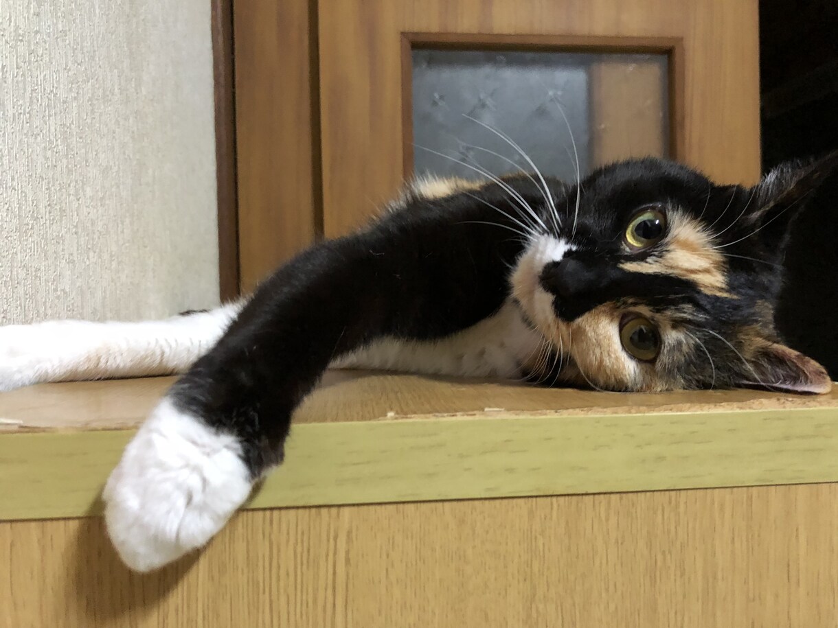 悩み☆愚痴聞き☆話し相手☆受け付けてます トークルーム内で楽しくお喋りしましょっ♬ イメージ7