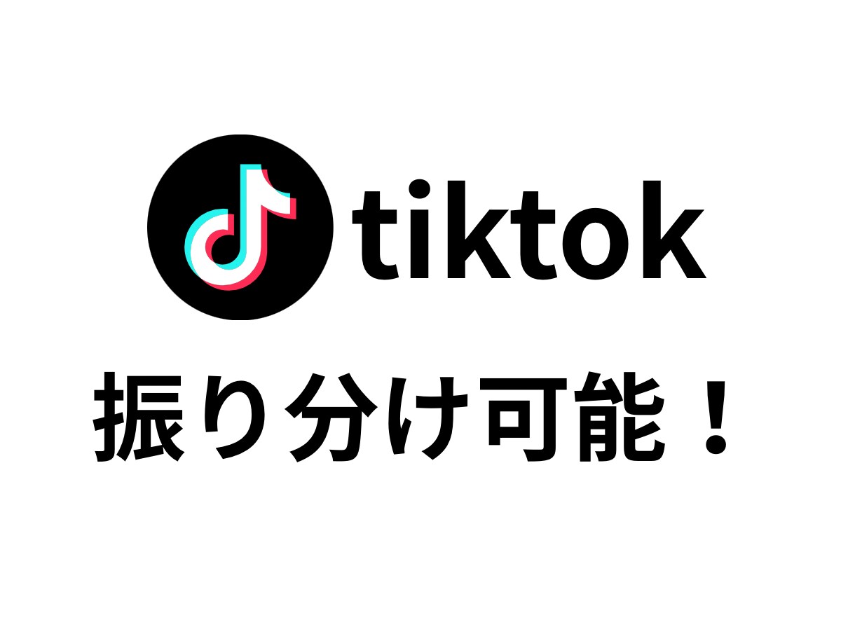 TikTokのフォロワー1000人増やします ✨2000人〜のプランもあります✨保証あり✨ イメージ3