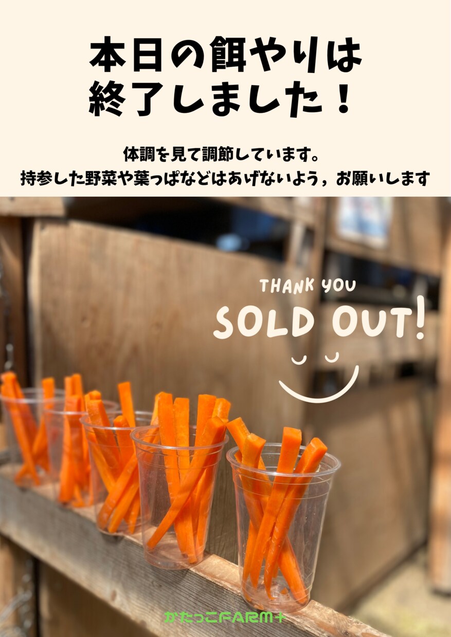 ポスター、フライヤー制作します イベントチラシ作成やお店の紹介フライヤーなど作成 イメージ2