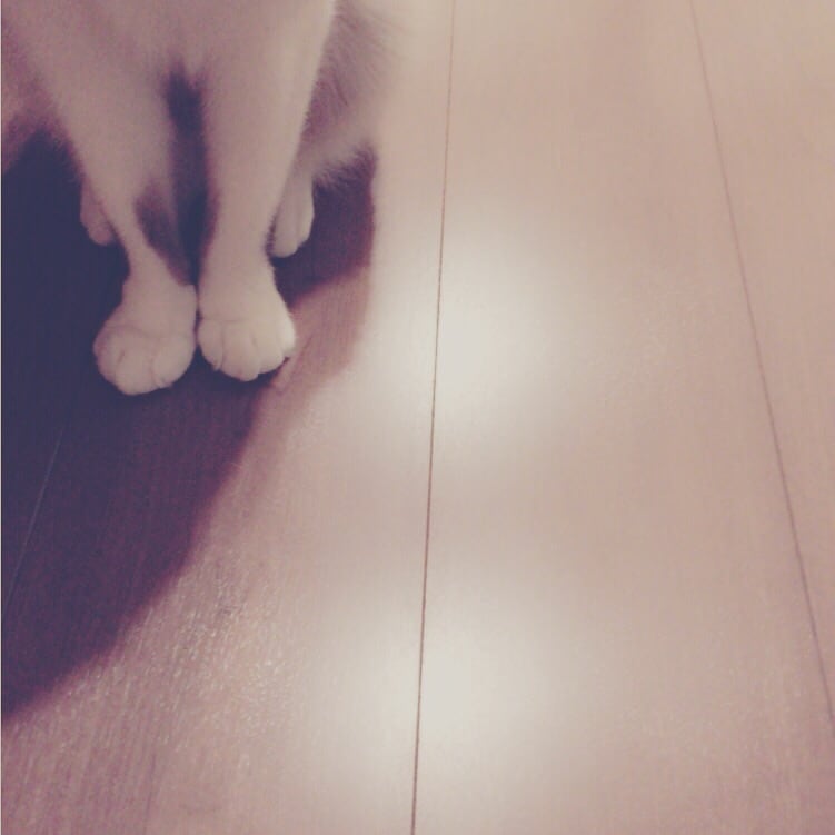 悲しいことでも嬉しいことでもなーんでも聞きます！ イメージ1
