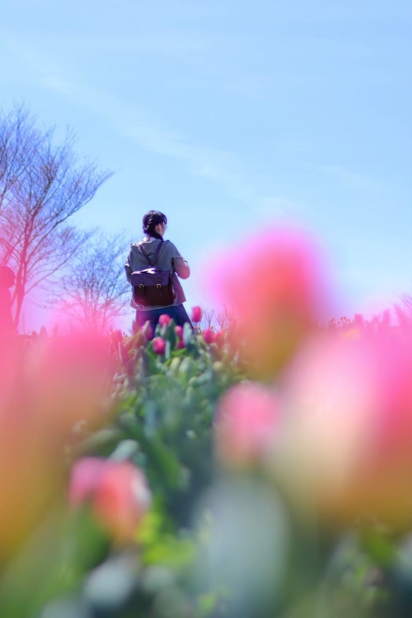 心のコントロールお手伝いします 大切な人と自分のために心の伝え方ポジティブに教えます！ イメージ2