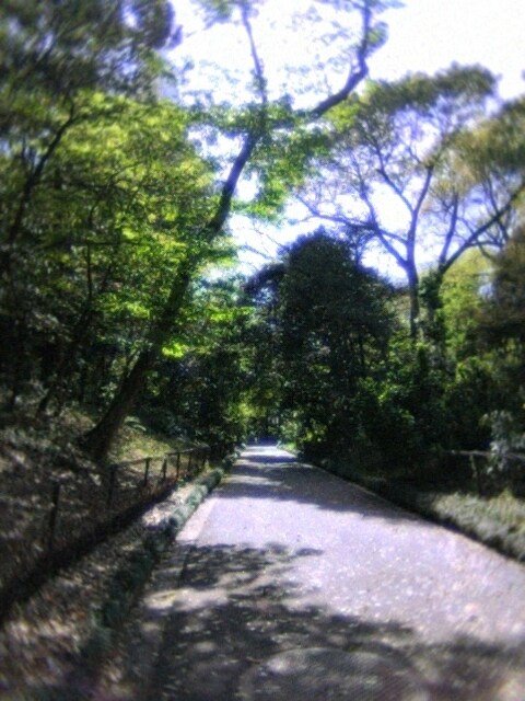 詩を書きます イメージを詩にしたい方　詩を早急に必要としている方 イメージ1