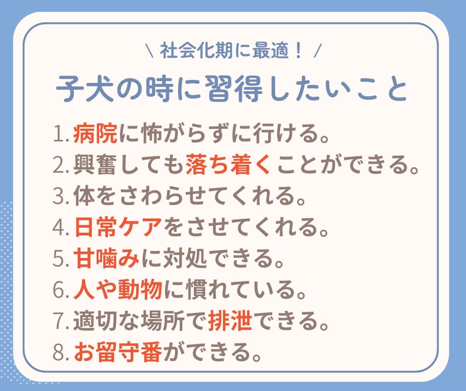 子犬期のしつけを4ヵ月齢まで継続サポートします 行動専門獣医師によるオーダーメイドのしつけ相談室です。 イメージ5