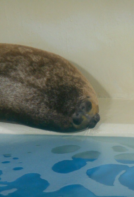 どんなことでも、愚痴聞きます こうしてほしい、こう対応してほしいなど要望聞きます！ イメージ1