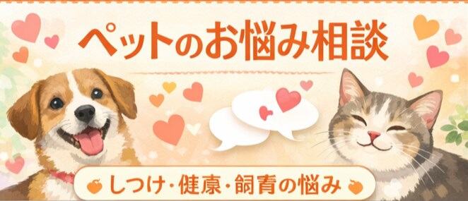 ペットの不安・悩み、飼い主さんの気持ちを聞きます ペット相談｜飼い主さんの気持ち整理・愚痴聞き イメージ1