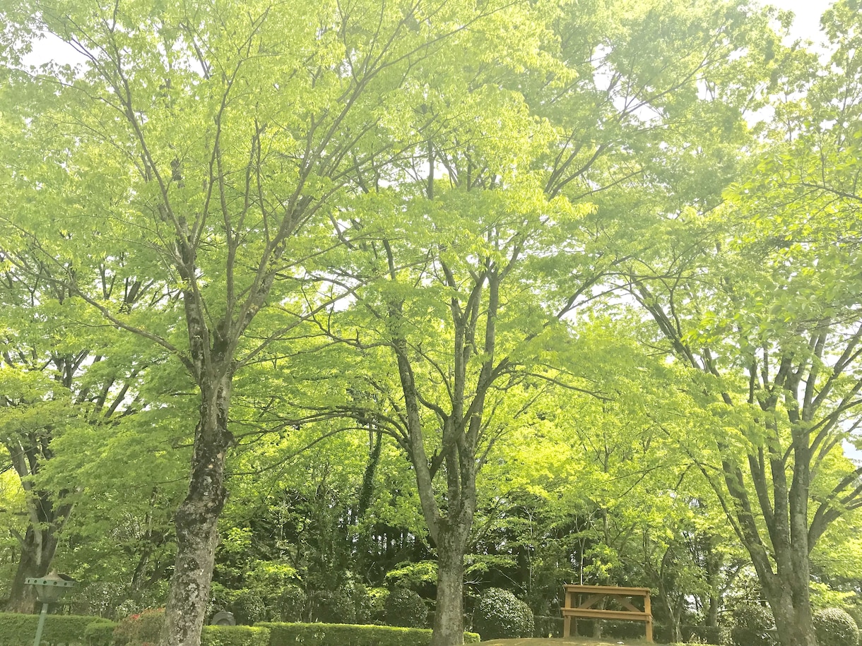 彼氏役、または男友達の1人としてお話しします お話ししたい、相談したい、ご希望に合わせます イメージ1