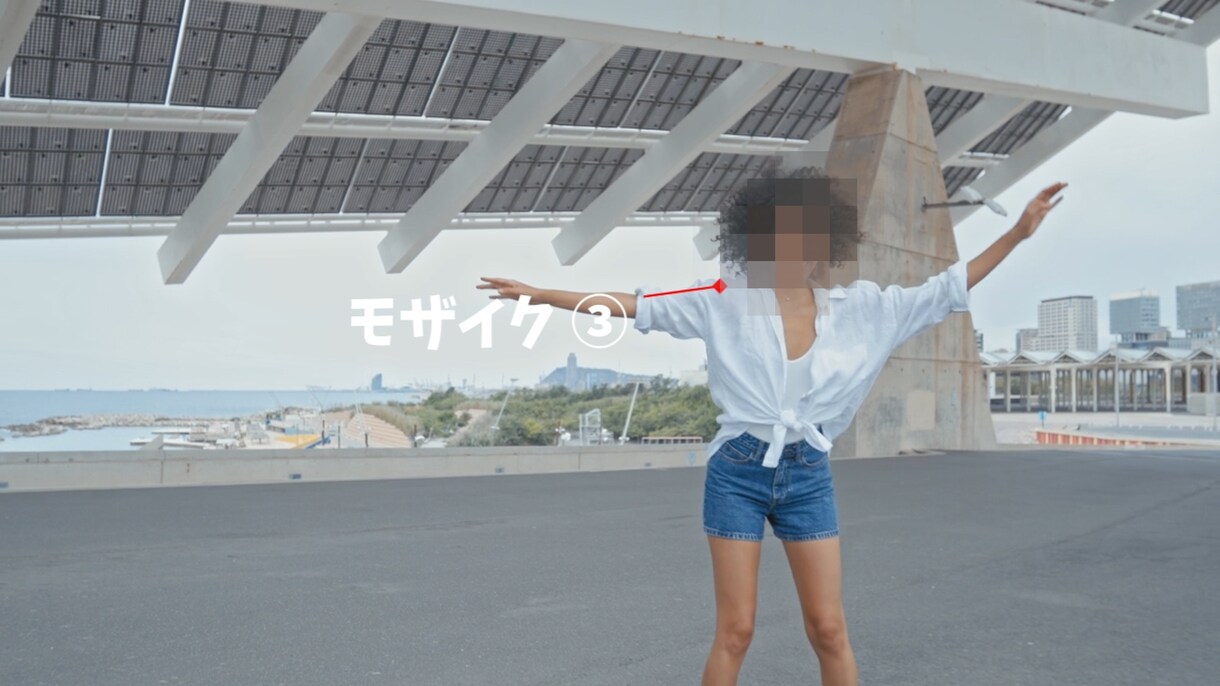 モザイク処理承ります 一度に受注可能な件数が1件のため購入後は専属で対応。 イメージ3