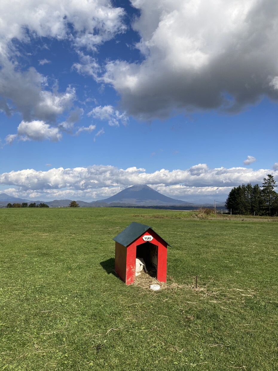 面識のないプロの教師がアドバイスします 担任の先生に相談できない…。なら、「面識のない」先生に相談！ イメージ1