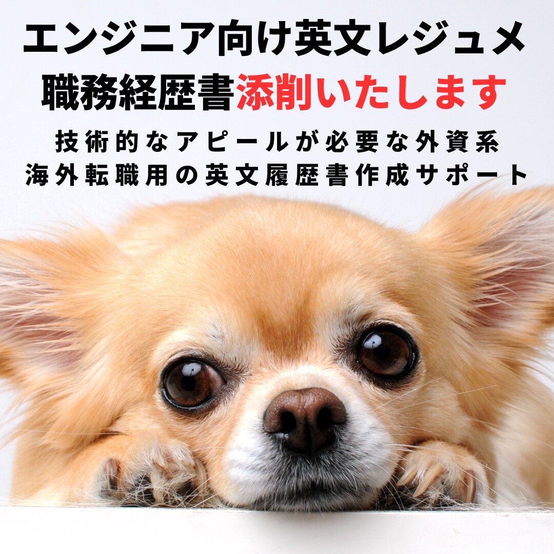 エンジニア向け英文レジュメ職務経歴書を添削します 技術的なアピールが必要な外資系・海外転職用の英文履歴書の作成 イメージ1