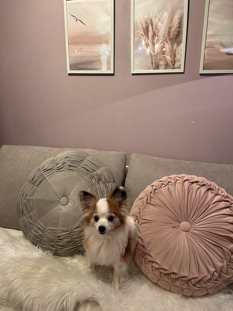 お部屋のお悩み聞きます どんなに散らかっていても理想のお部屋になる？？にお応えします イメージ4