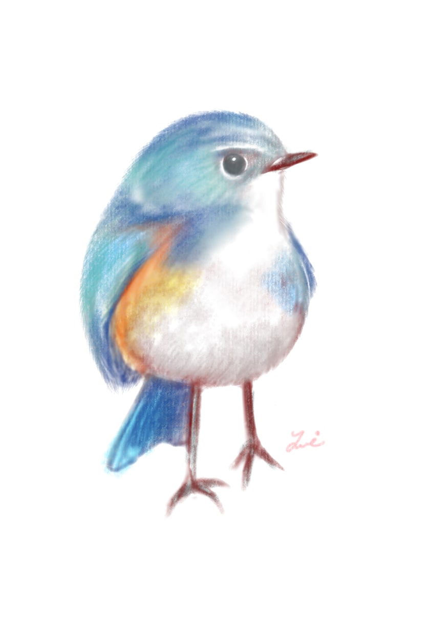 水彩風イラストやマスコット風イラストが描けます あなたの大切な家族や好きな動物をふんわりイラスト化！ イメージ3