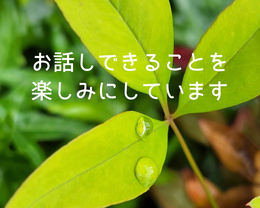 今話しましょ☆頑張ってるあなたの気持ちお聞きします 介護士が全力応援☆心の声に傾聴☘️愚痴☘️雑談☘️仕事☘️ イメージ10