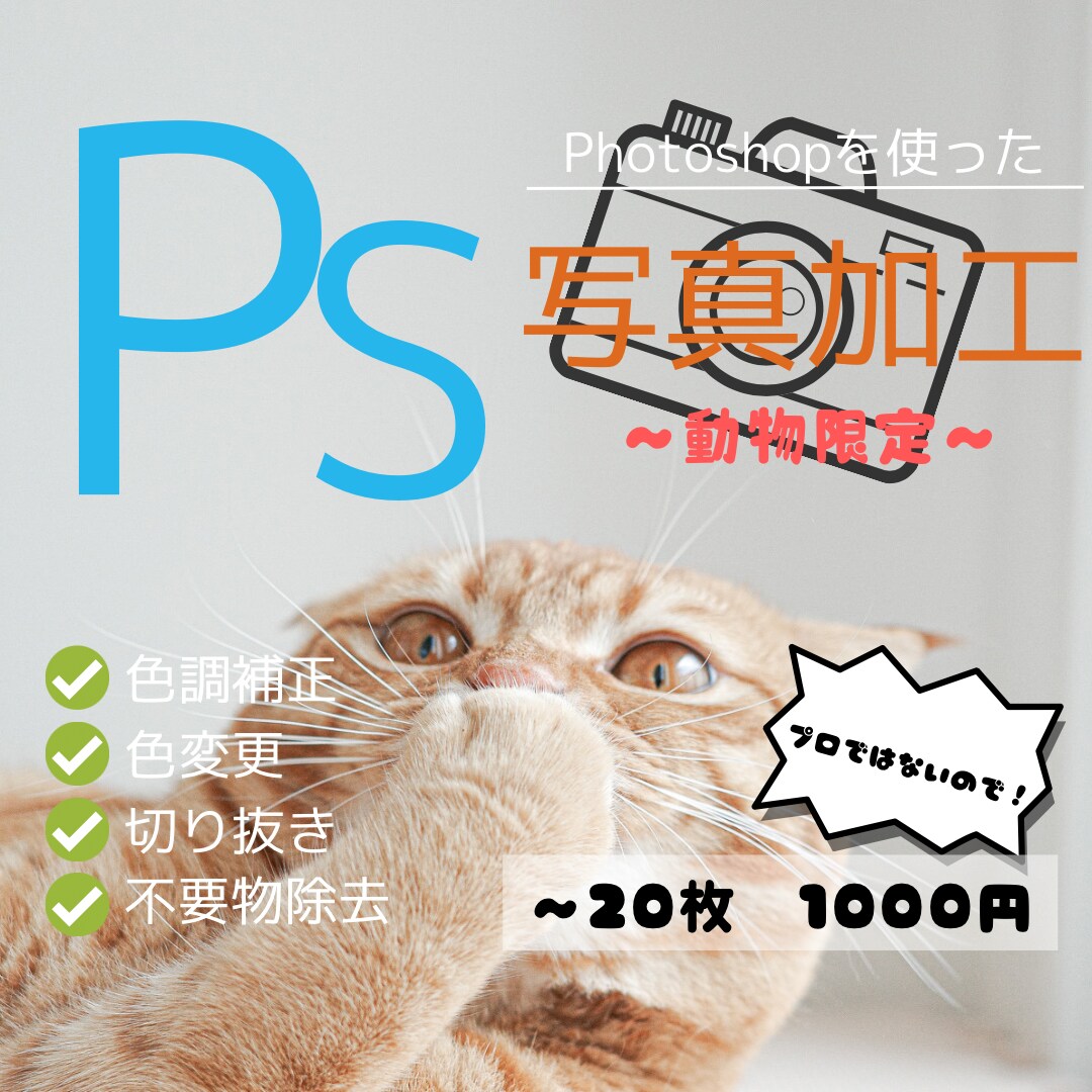 Photoshopで写真の色調補正、修正等承ります 最短即日！ご用命に沿った編集を！ イメージ1
