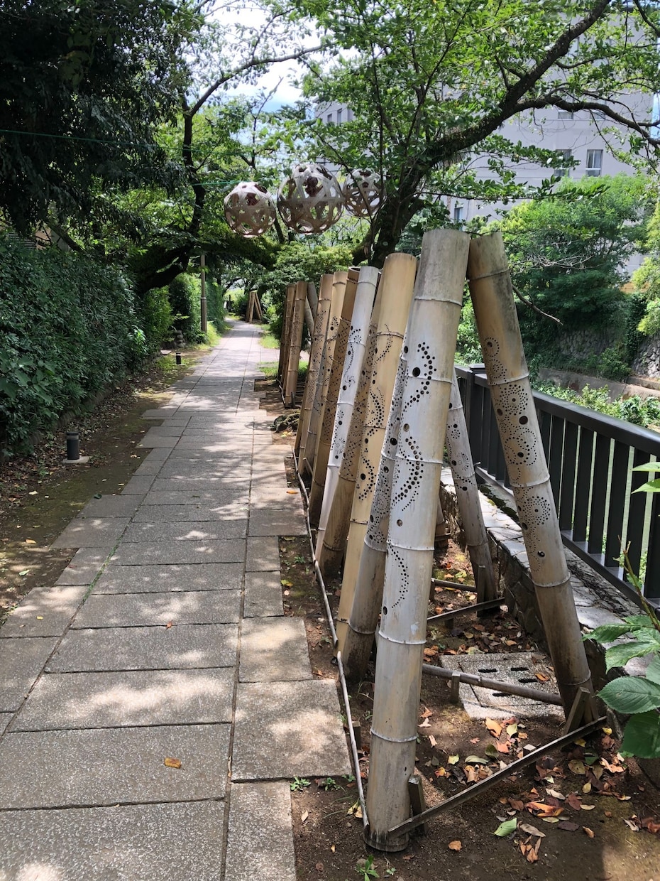 生き方、という視点で進学就職など進路相談承ります 人生の選択に悩む方へ「どう生きるのか」一緒に考えていきます。 イメージ1