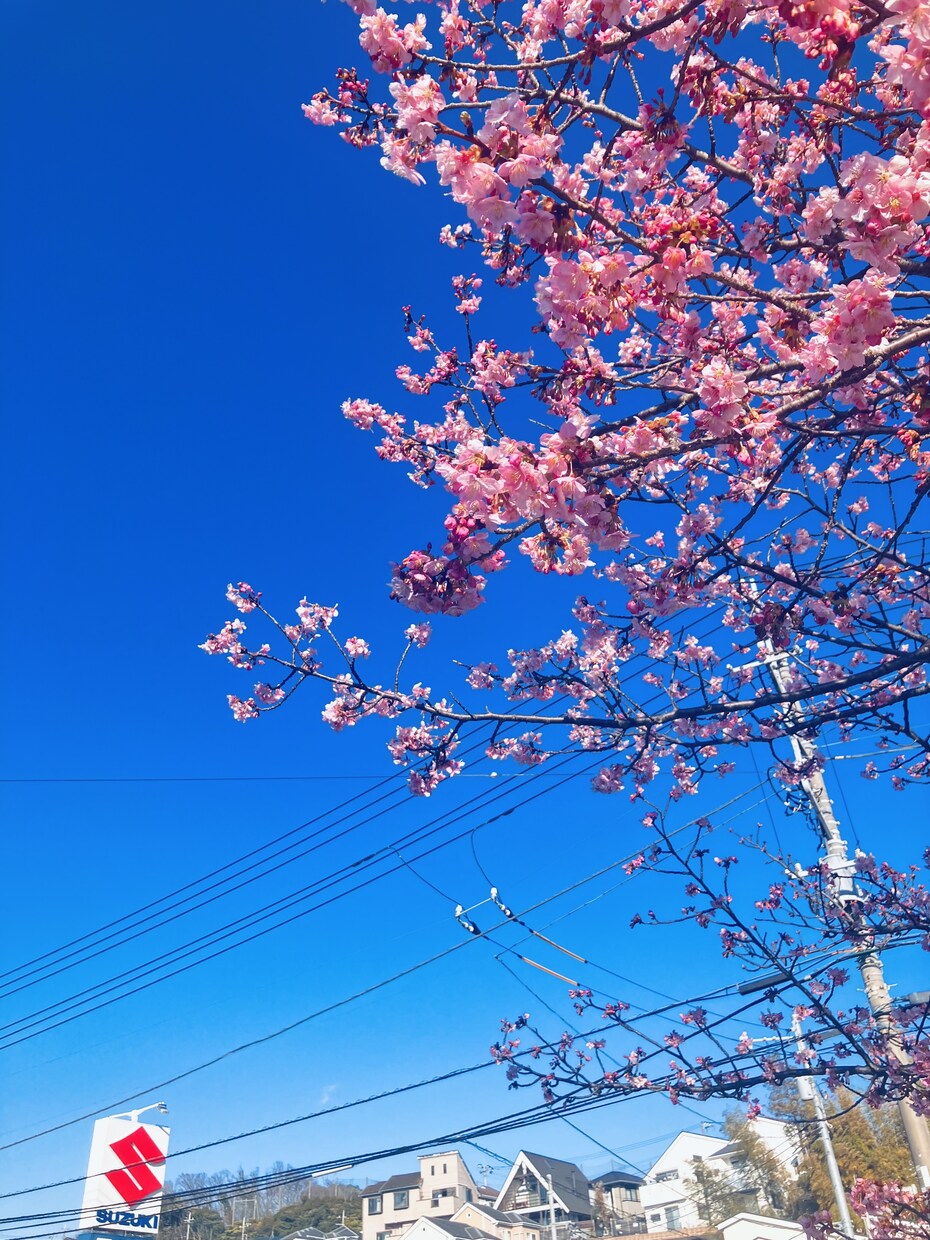 暇な時に話し相手になることができます なんでもないような話、くだらない話から愚痴まで楽しく話せます イメージ2