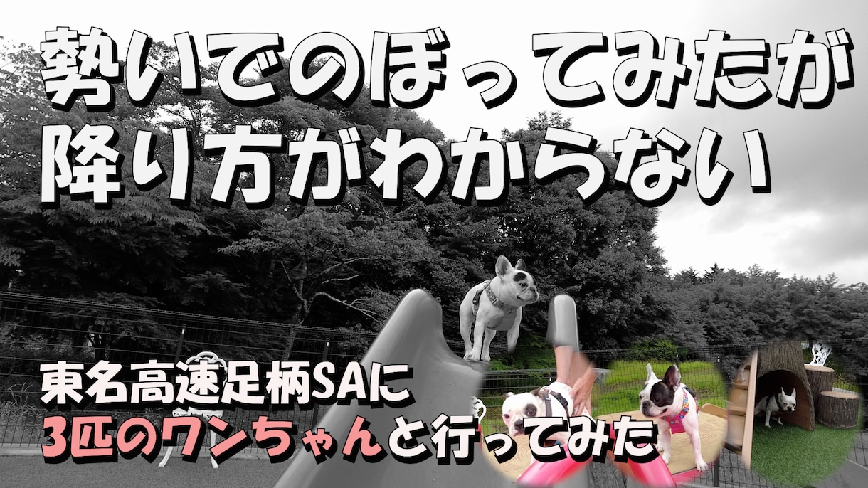 YouTube配信する動画を編集致します フルテロップ/BGM・効果音挿入OK(細かいオプションなし) イメージ7