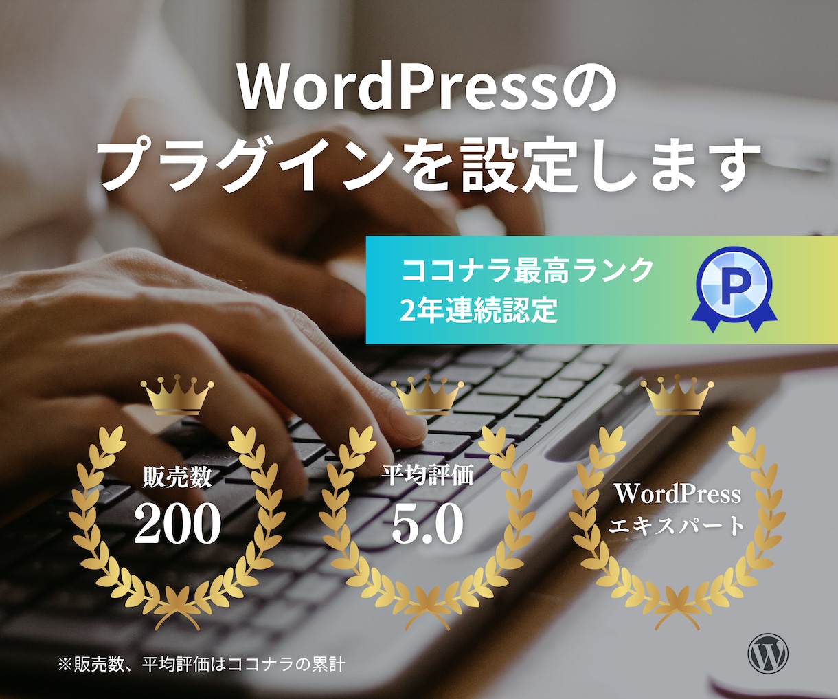 WordPressのプラグインを設定します 100種以上対応、目的に合う設定までお任せ イメージ1