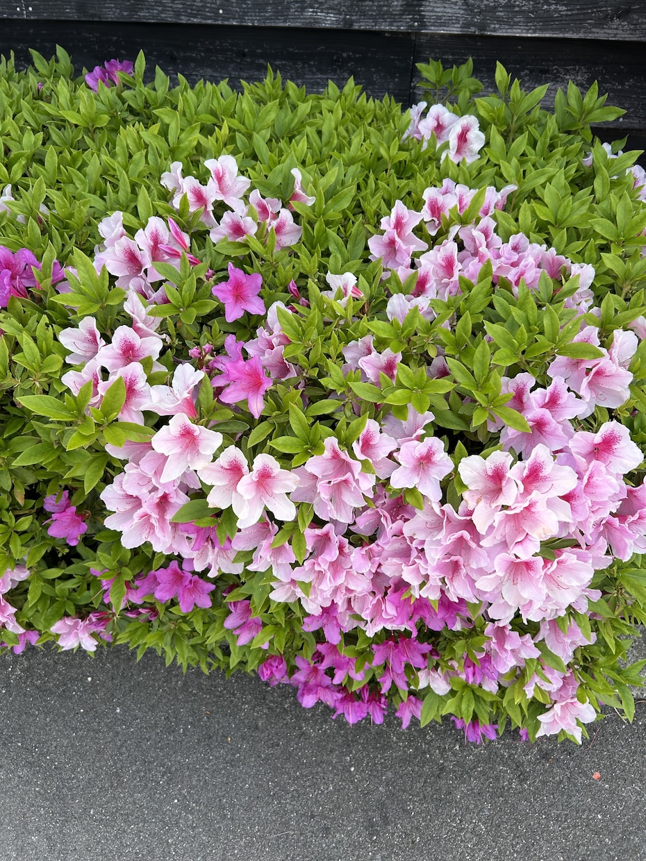 主介護者様としっかりつながります 主に介護されている方と一緒に笑顔になりましょう イメージ2
