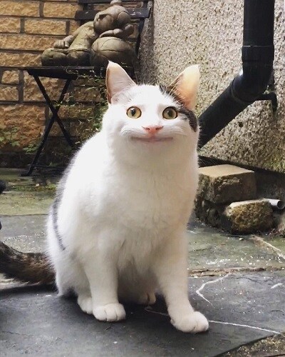 相談してくれた方をちょっとだけ元気にします あなたの悩みを聞いてポジティブします！ イメージ1
