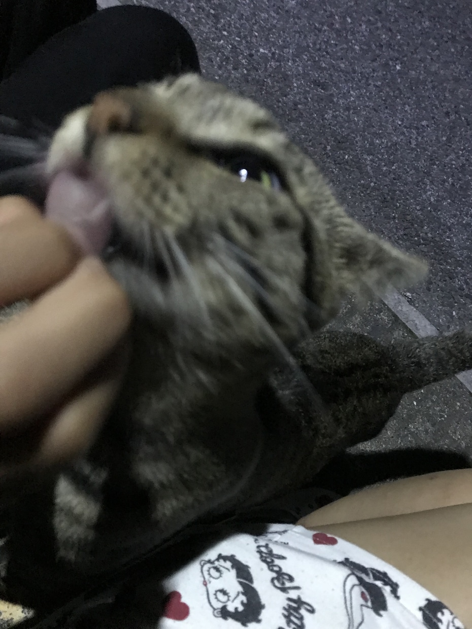 暇すぎ無理！誰かぁあ！！･････ここにいます 暇すぎて暇すぎてどうしようもないあなたへ イメージ4