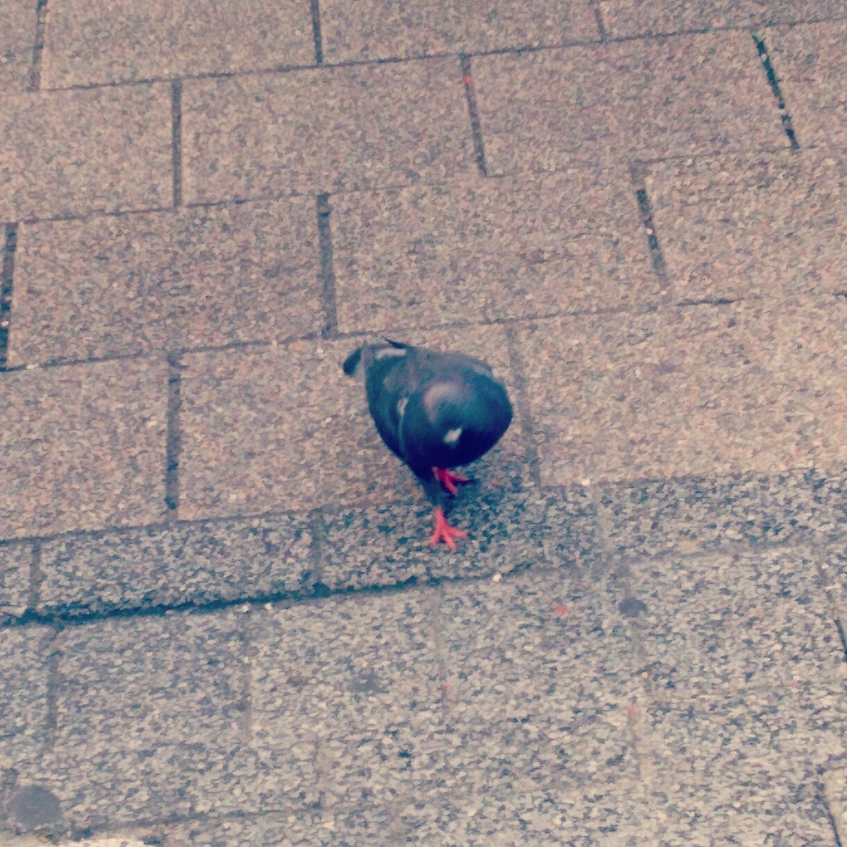 何でも話聞きます 好きなことでも悩みでも愚痴でも イメージ1