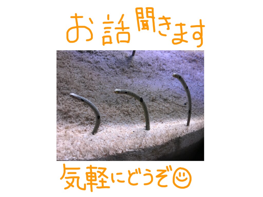 お話聞きます 人間関係、愚痴、悩みなんでも聞きます イメージ1