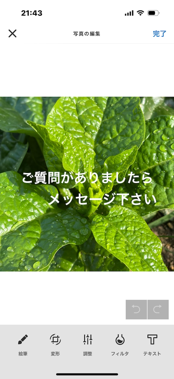 異次元からやってきた「おばあちゃん」が易で占います 、という設定です。（笑）関西弁おばあちゃんが運命指南します。 イメージ2